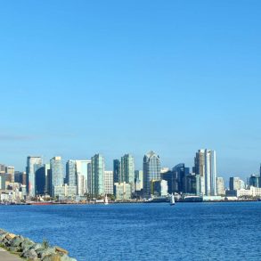Zoomed out view of the San Diego skyline on a sunny day with a palm tree in the foreground next to a road and the beach.