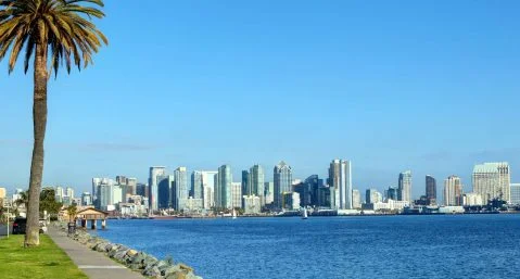 Zoomed out view of the San Diego skyline on a sunny day with a palm tree in the foreground next to a road and the beach.