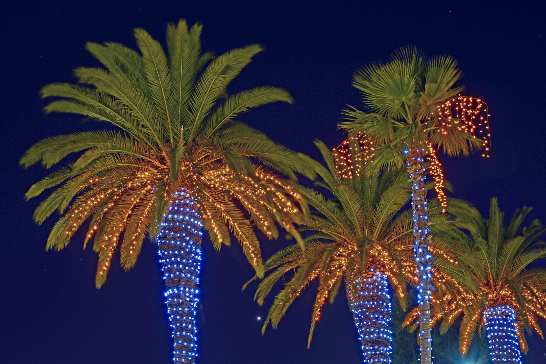 5 Holidays in Palm Springs to Celebrate for a Festive Vacation ...